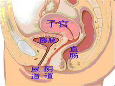 男人要夠長進入私處