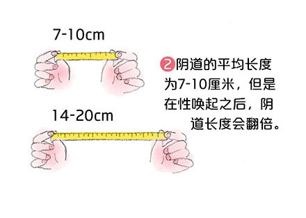 陰道長啥樣？看完這幾張圖就瞭解！