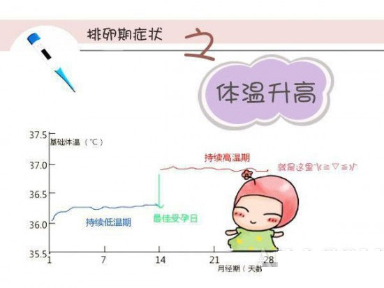 組圖：女性私處排卵期是什麼感覺