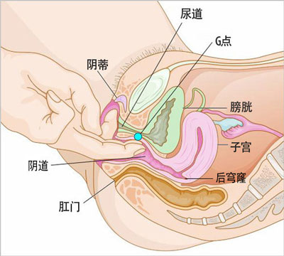 妹子：陰蒂高潮陰道高潮真實感受